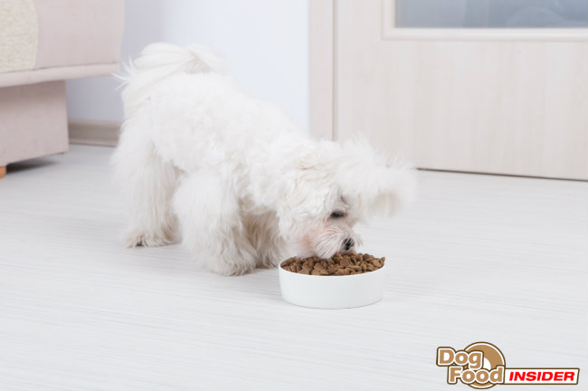 smart health dog food