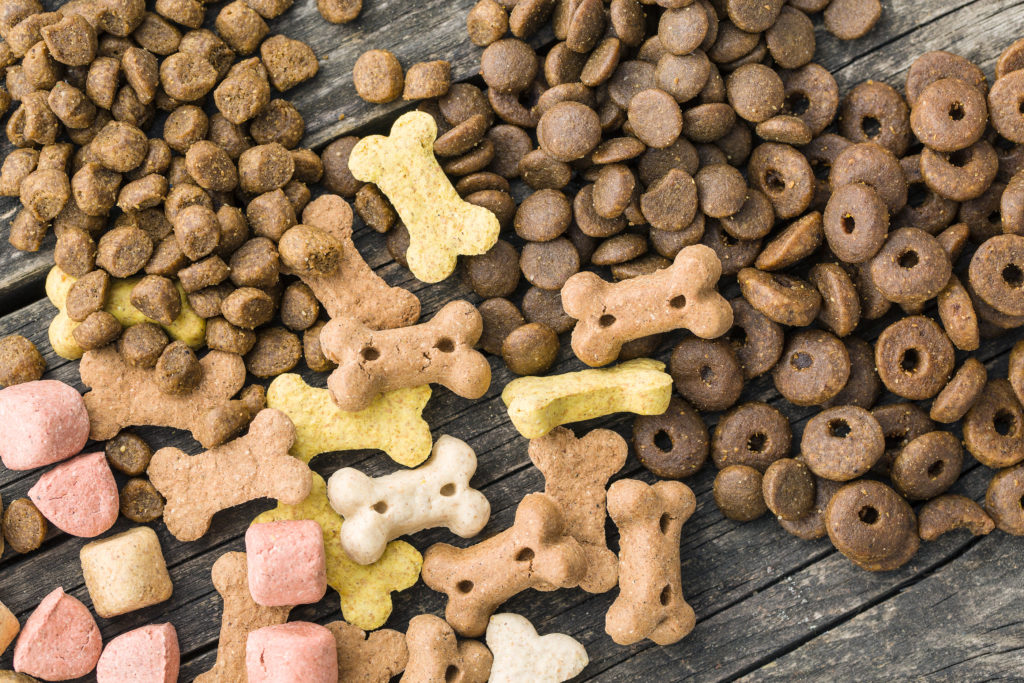 Top Rated Dog Food Brands You Want To Consider For Your Pet